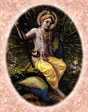 [Lord Krishna being welcomed by the Vrindavan peacocks]